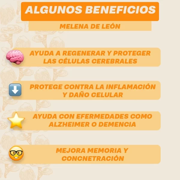 MELENA DE LEON x450GR - Imagen 4