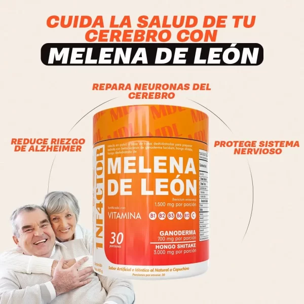 MELENA DE LEON x450GR - Imagen 3